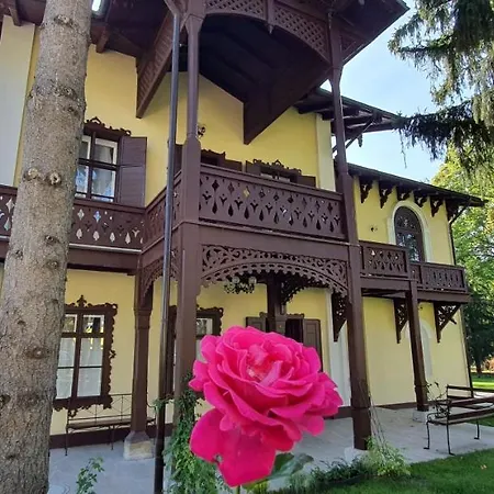 Villa Musik - Historical Apartments In Baden Exterior photo