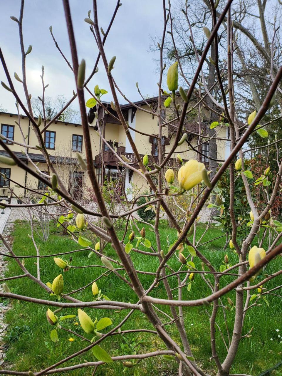Apartment Musik - Historical In Baden